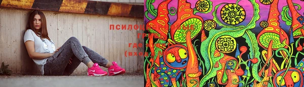 эйфоретик Аркадак
