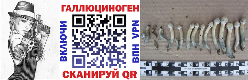 Псилоцибиновые грибы прущие грибы  hydra вход  Поронайск 